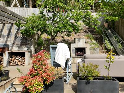 Picture 43